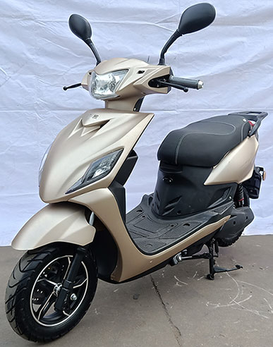 广雅牌GY1200DT-2S电动两轮摩托车公告图片