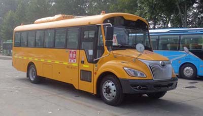 宇通牌ZK6875DX51中小学生专用校车图片