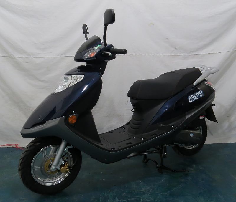 三野牌MS100T-9A两轮摩托车图片
