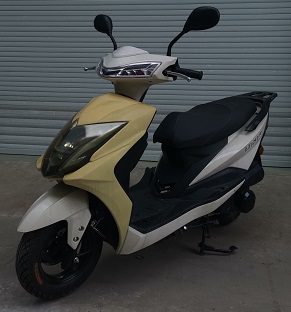 立田牌LT125T-9F两轮摩托车公告图片