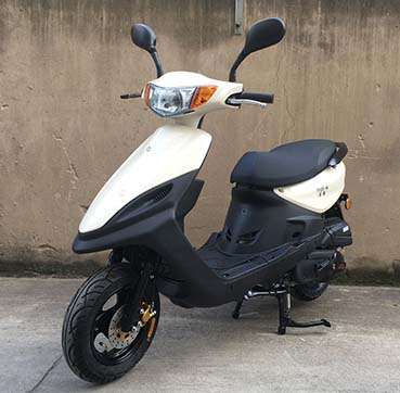 富通牌FT125T-9D两轮摩托车公告图片