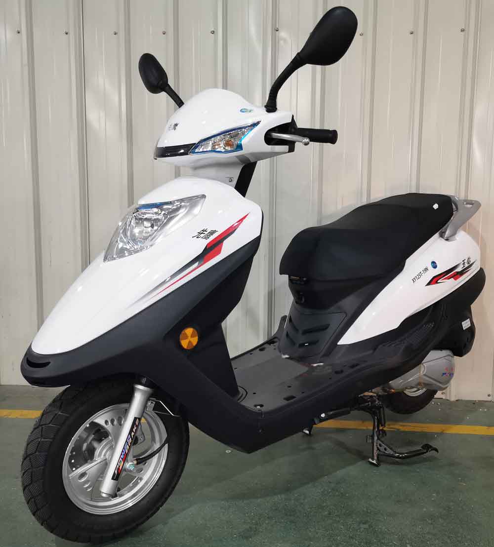 先鹰牌XY125T-19N两轮摩托车公告图片