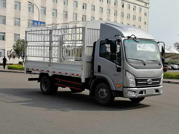 南駿牌NJA5041CCYPDF33A倉(cāng)柵式運(yùn)輸車公告圖片