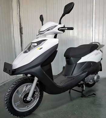 光速牌GS125T-19Y两轮摩托车公告图片