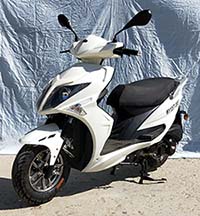 王野牌WY125T-155E两轮摩托车公告图片