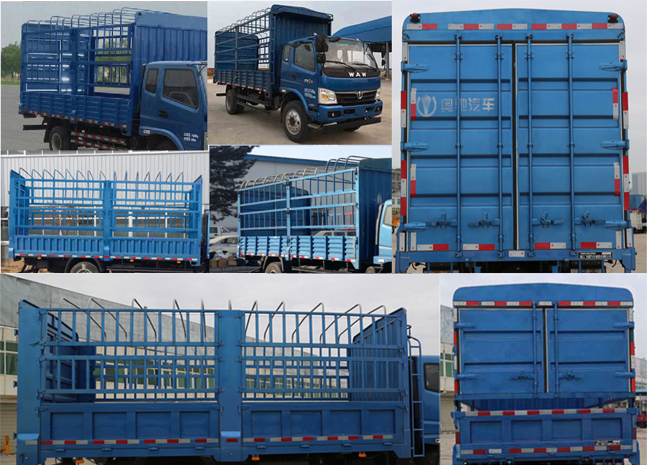 飛碟牌FD5101CCYP63K5-1倉柵式運輸車公告圖片
