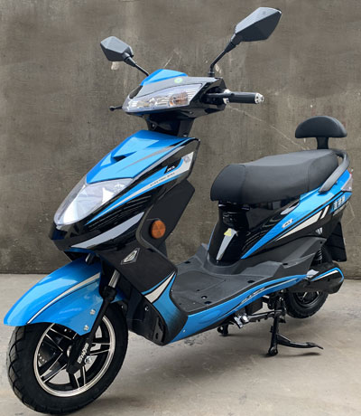 雅微牌YW1200DT-12A电动两轮摩托车公告图片