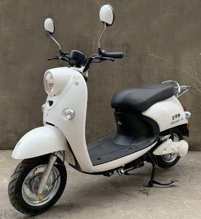 雅微牌YW1200DT-16A电动两轮摩托车公告图片