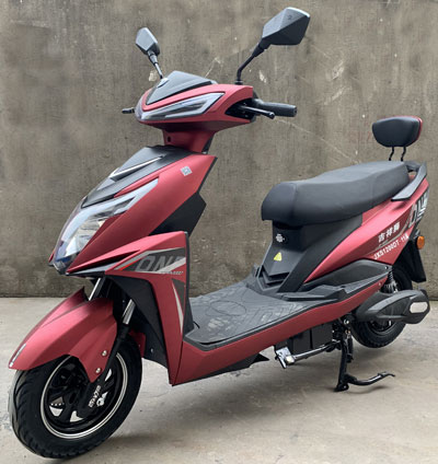 雅微牌YW1200DT-11A电动两轮摩托车公告图片