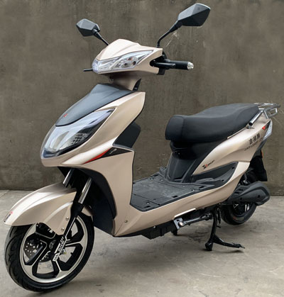 雅微牌YW1200DT-22A电动两轮摩托车公告图片