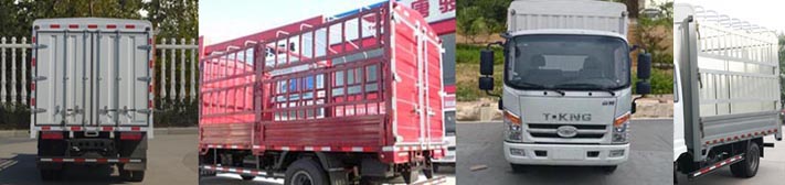 欧铃牌ZB5071CCYJPD6V仓栅式运输车公告图片