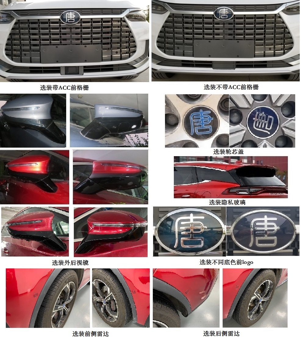 比亚迪牌BYD6490SBEV纯电动多用途乘用车公告图片