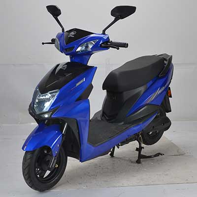 宝雕牌BD1000DQT-3A电动两轮轻便摩托车公告图片