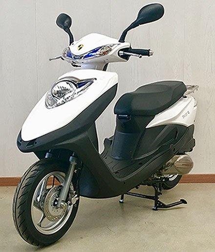 ZN125T-6D 中能牌125,125,125CC汽油前盘式后鼓式两轮摩托车图片