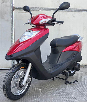 台虎牌TH125T-6P两轮摩托车公告图片