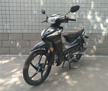 重庆牌CQ110-2D两轮摩托车公告图片