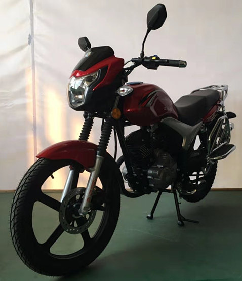 迅龙牌XL150-5S两轮摩托车公告图片