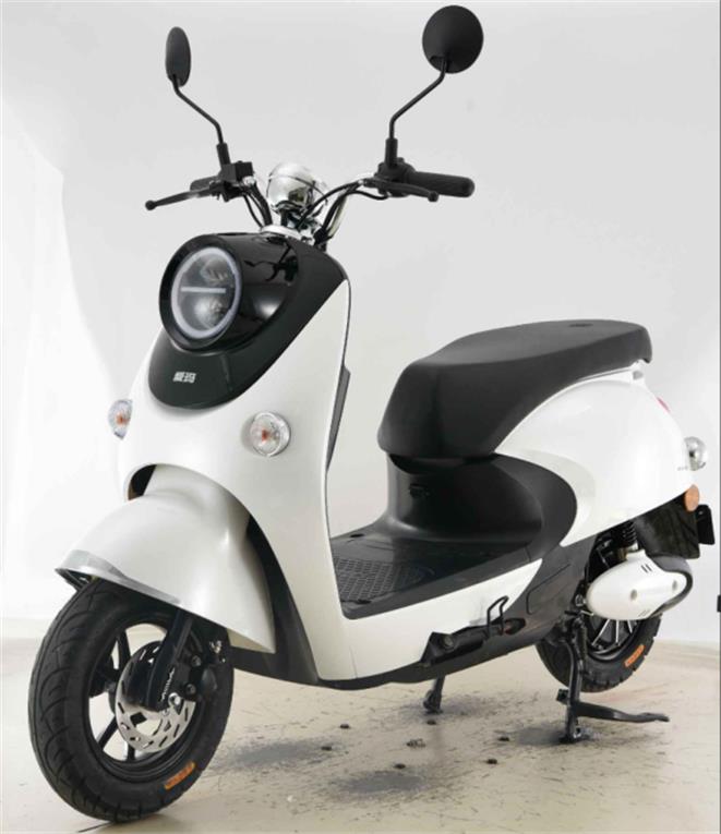 爱玛牌AM500DQT-28D电动两轮轻便摩托车公告图片