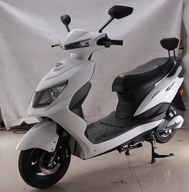 立马牌LM1200DT-6B电动两轮摩托车公告图片