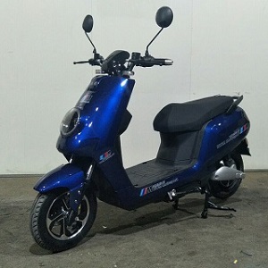 标旗牌BQ1000DQT-A电动两轮轻便摩托车公告图片