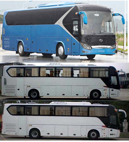 金龙牌XMQ6125BYD5C1客车公告图片