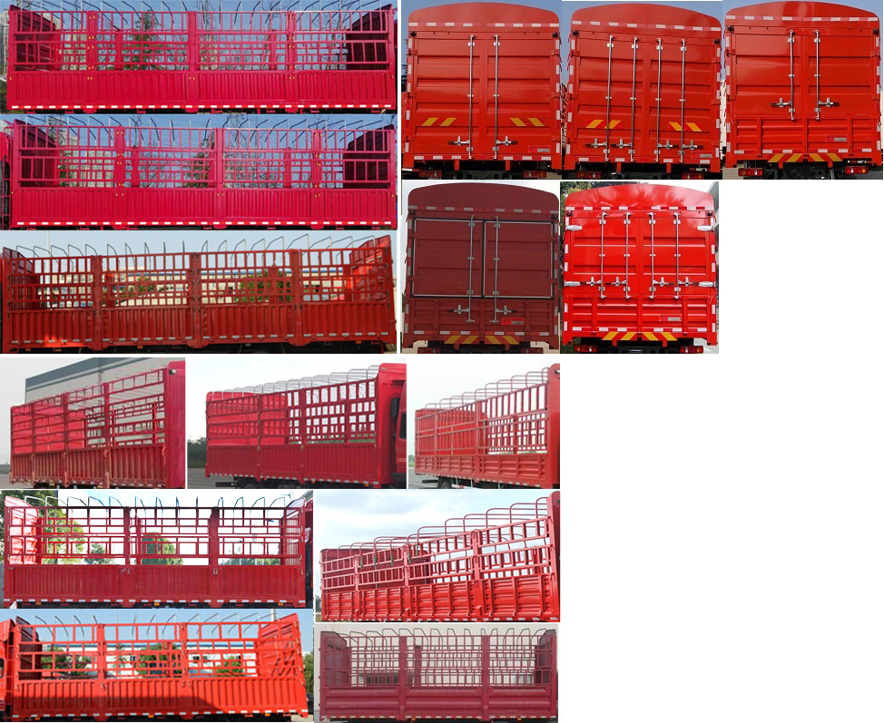 大運(yùn)牌DYQ5251CCYD5CB倉(cāng)柵式運(yùn)輸車公告圖片