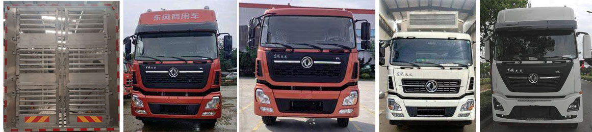 聚塵王牌HNY5310CCQD5畜禽運輸車公告圖片