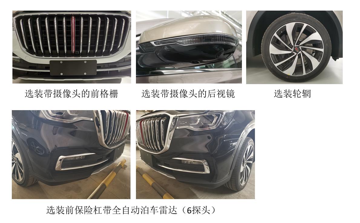 红旗牌CA6500T1多用途乘用车公告图片