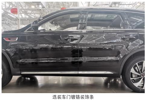 红旗牌CA6500T1多用途乘用车公告图片