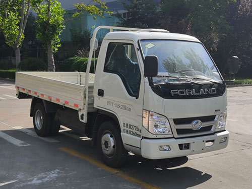 福田牌BJ1032V5JL3-DE两用燃料载货汽车公告图片