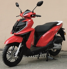 中雅牌ZY125T-12D两轮摩托车公告图片