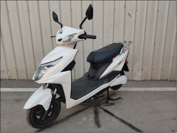 隆狮牌LS600DQT-3电动两轮轻便摩托车公告图片