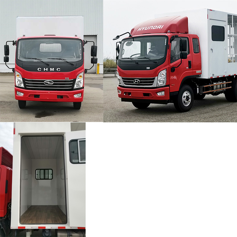 现代牌CHM5041CYFQDA33V养蜂车公告图片