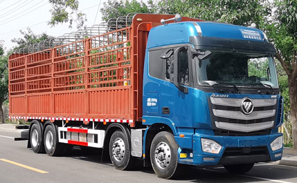 歐曼牌BJ5329CCY-AD倉柵式運輸車公告圖片