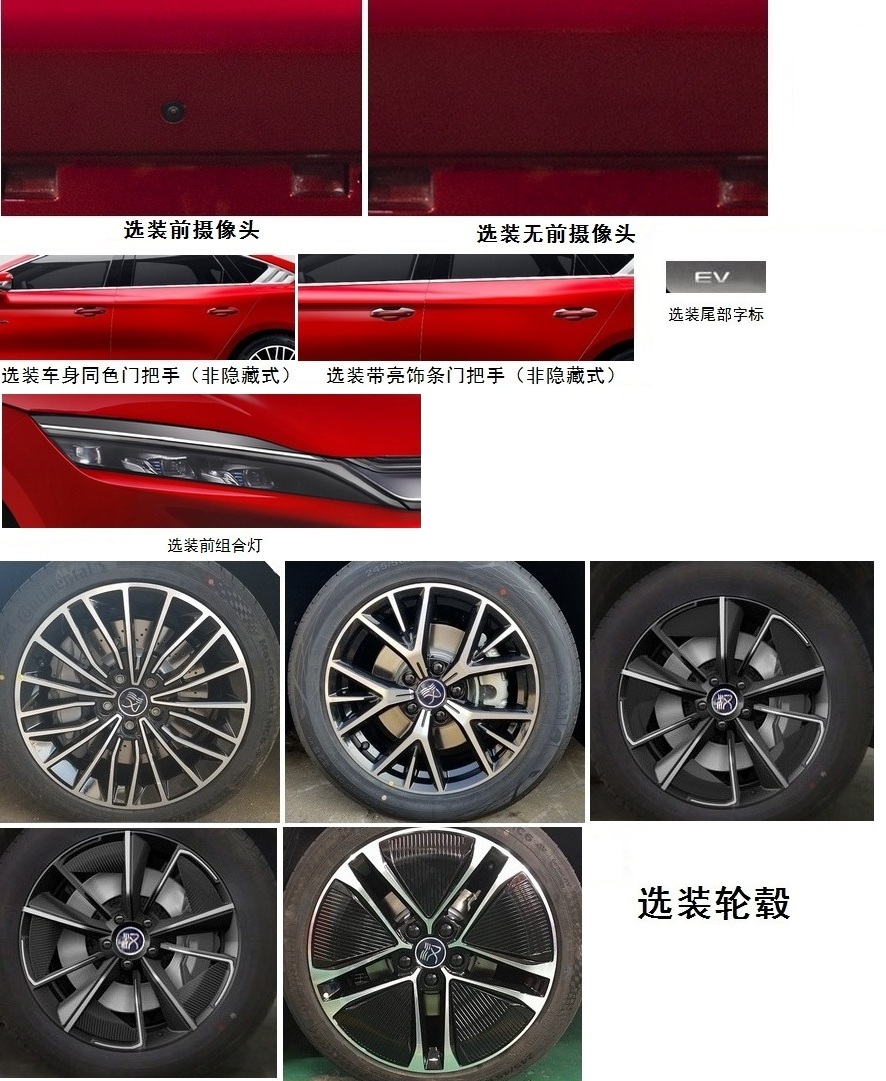 比亚迪牌BYD7009BEV3纯电动轿车公告图片