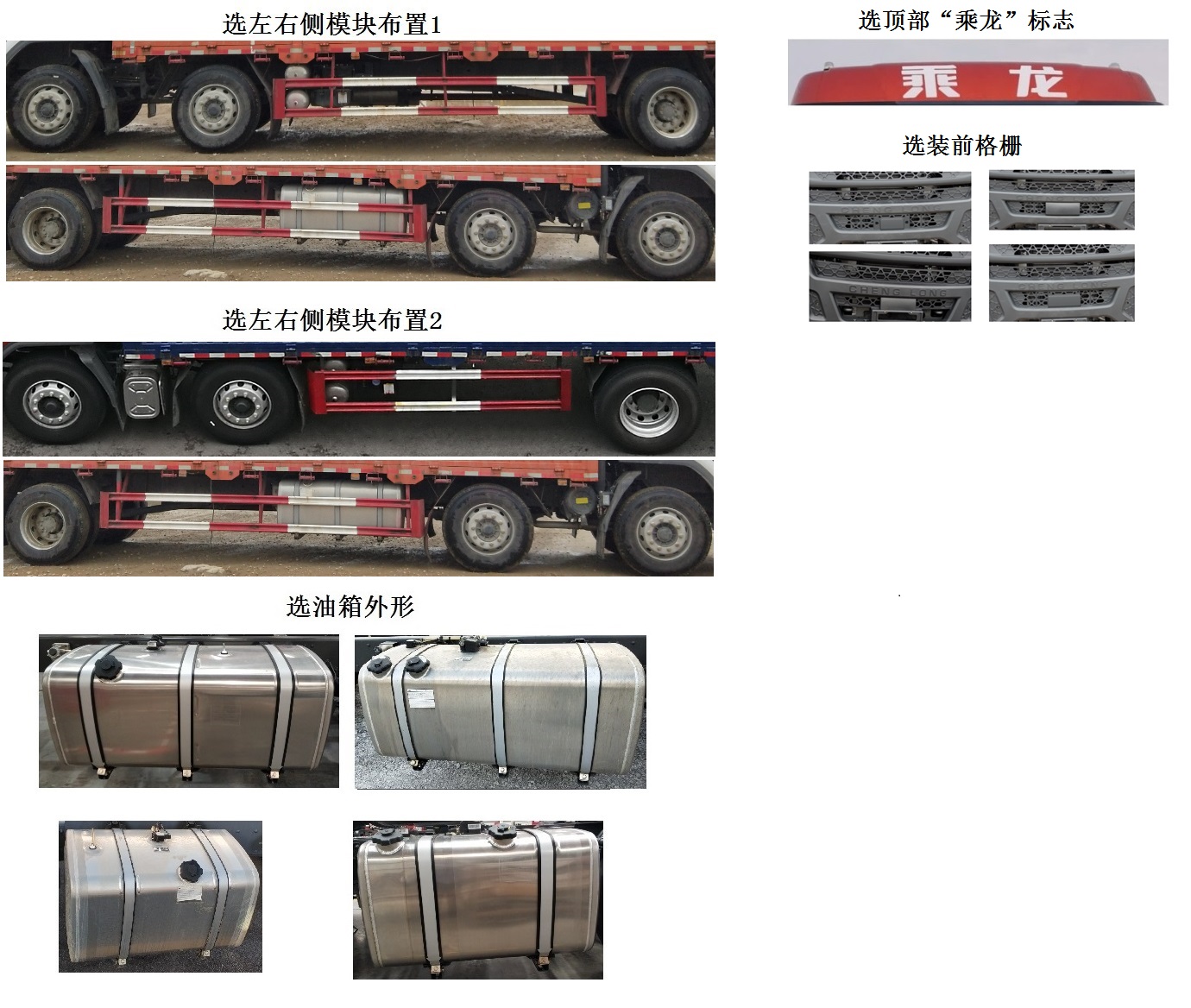 乘龍牌LZ5252CCYM3CB倉(cāng)柵式運(yùn)輸車(chē)公告圖片