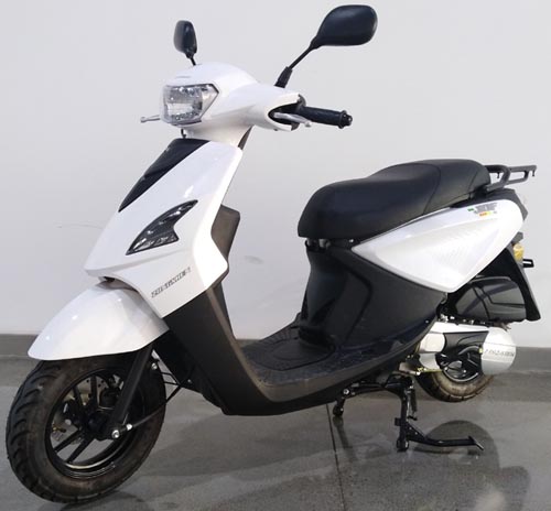 宗申牌ZS125T-59两轮摩托车公告图片