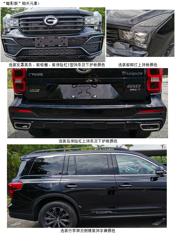 传祺牌GAC6480J2P6C多用途乘用车公告图片