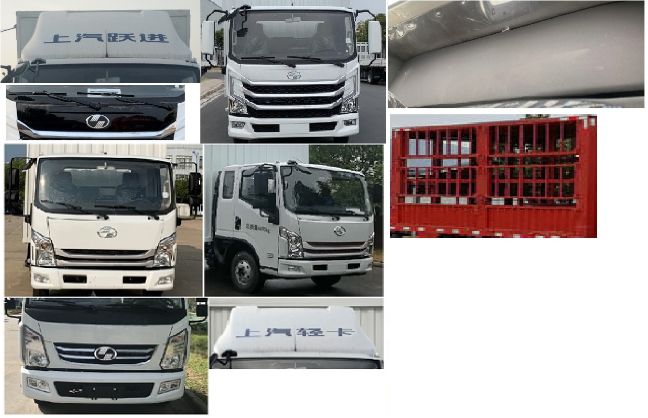 躍進牌SH5042CYFZFDDWZ養(yǎng)蜂車公告圖片