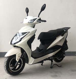 王野牌WY125T-28E两轮摩托车公告图片