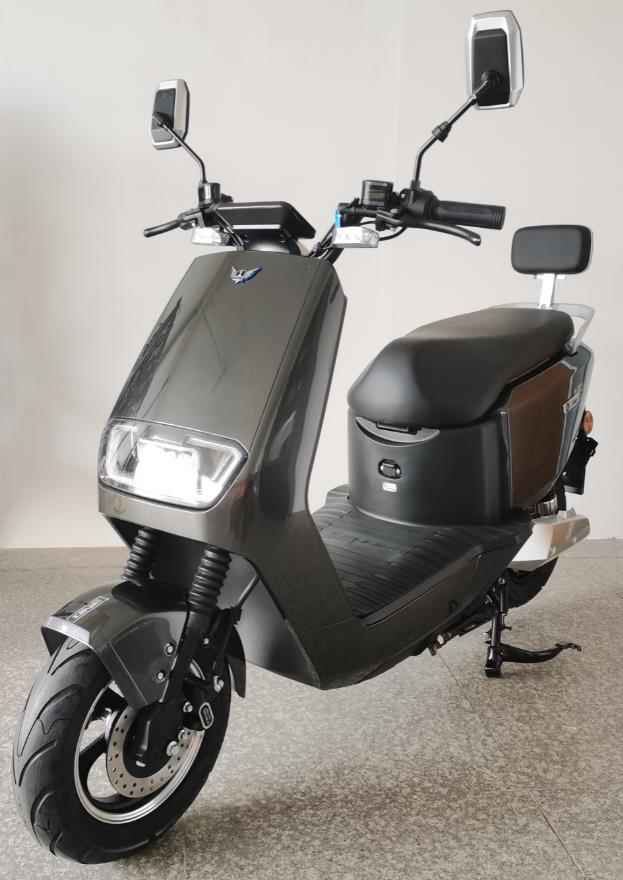 壹酷牌YK1200DT-6电动两轮摩托车公告图片