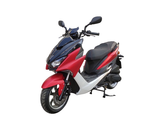 飞雅牌FY150T-2A两轮摩托车公告图片