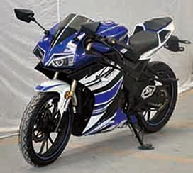 新感觉牌XGJ250-28C两轮摩托车公告图片