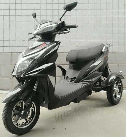 大力神牌DLS1200DQZ-2C电动正三轮轻便摩托车公告图片