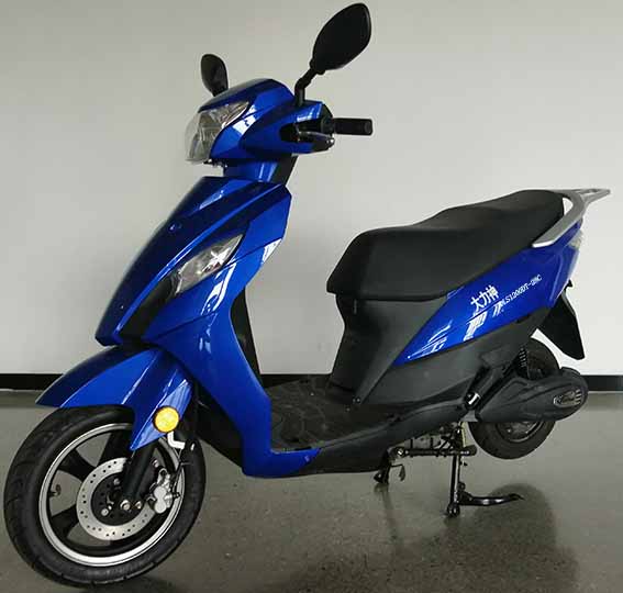 大力神牌DLS1200DT-28C电动两轮摩托车公告图片