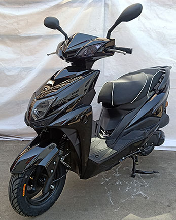 设雅牌SY125T-2两轮摩托车公告图片