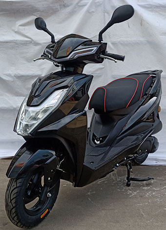 设雅牌SY125T-2两轮摩托车公告图片