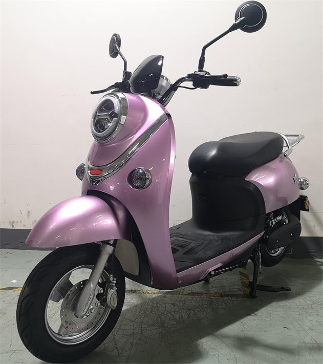 安尔达牌AED1200DT-11A电动两轮摩托车公告图片