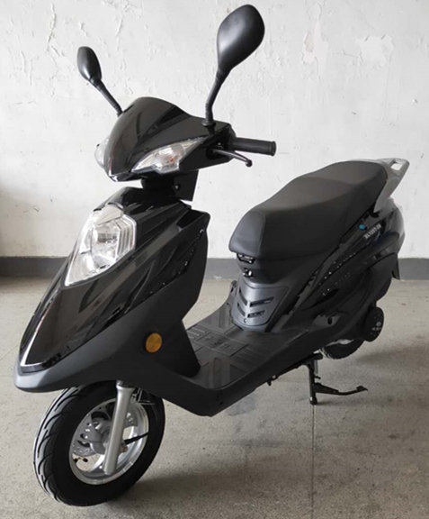 迅龙牌XL125T-5S两轮摩托车公告图片