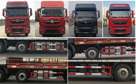 東風(fēng)牌DFH5310CCQDX1畜禽運(yùn)輸車(chē)公告圖片